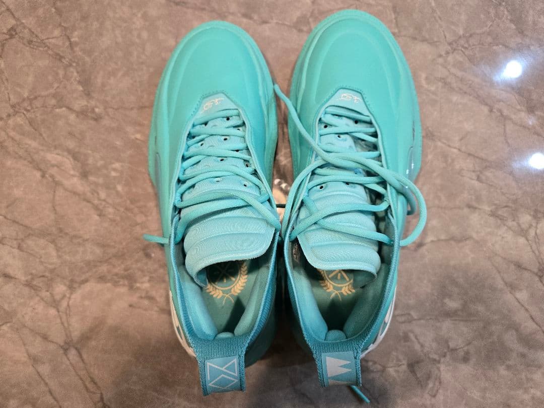 WAY OF WADE 11 メンズ ミドルカット プロバスケットボールシューズ