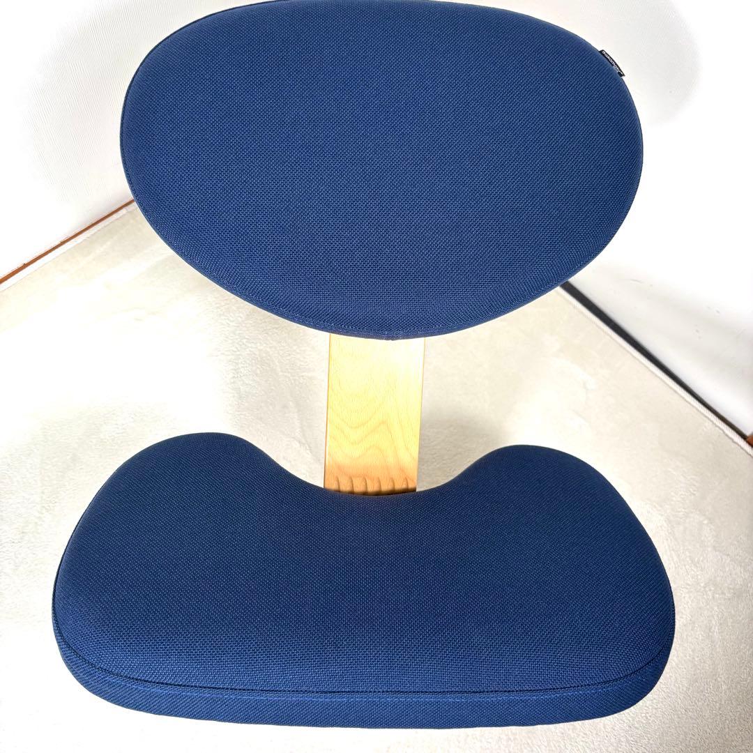 【美品】サカモト　姿勢矯正チェア　バランスイージー　　専用カバー付き