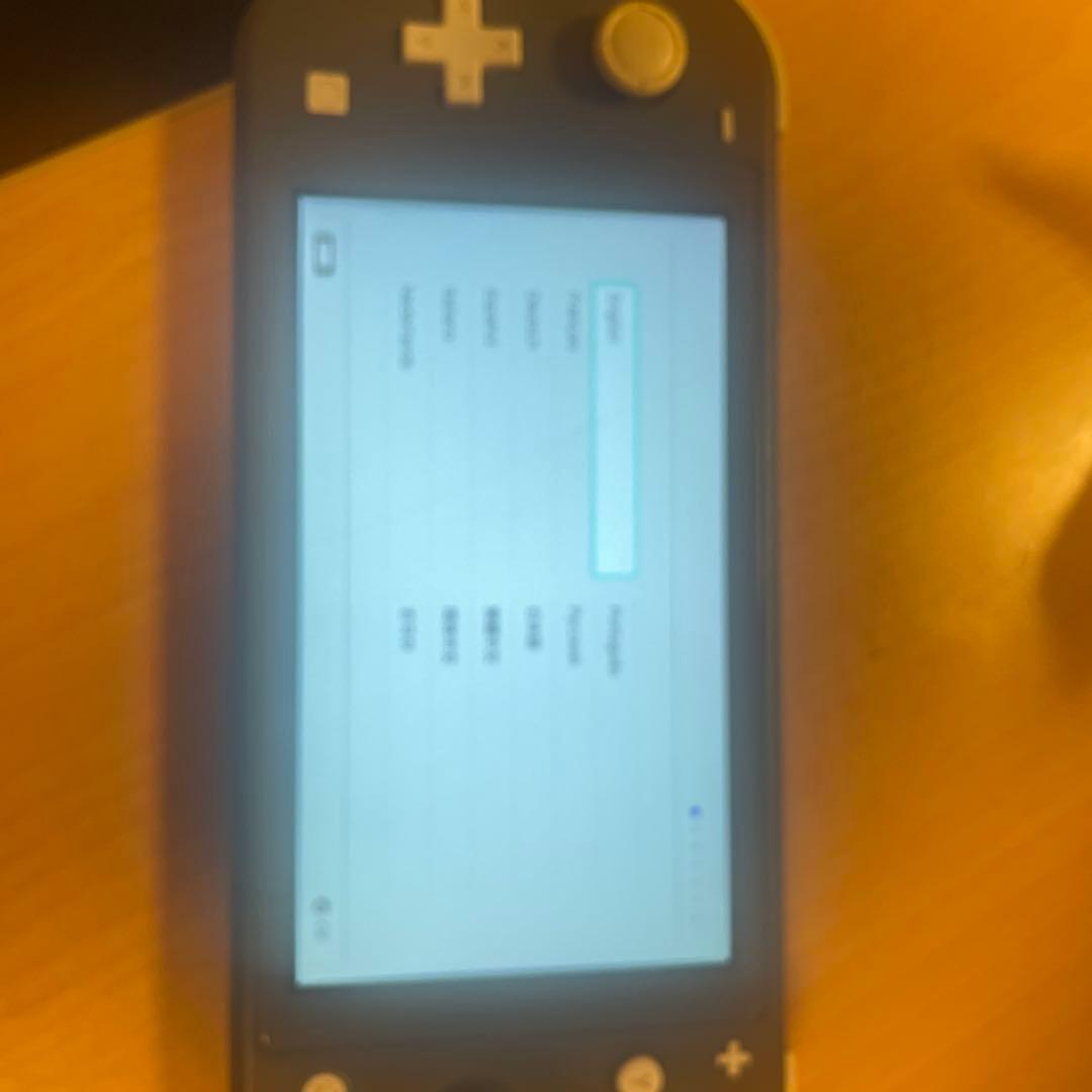 Nintendo Switch Lite 任天堂　スイッチライト