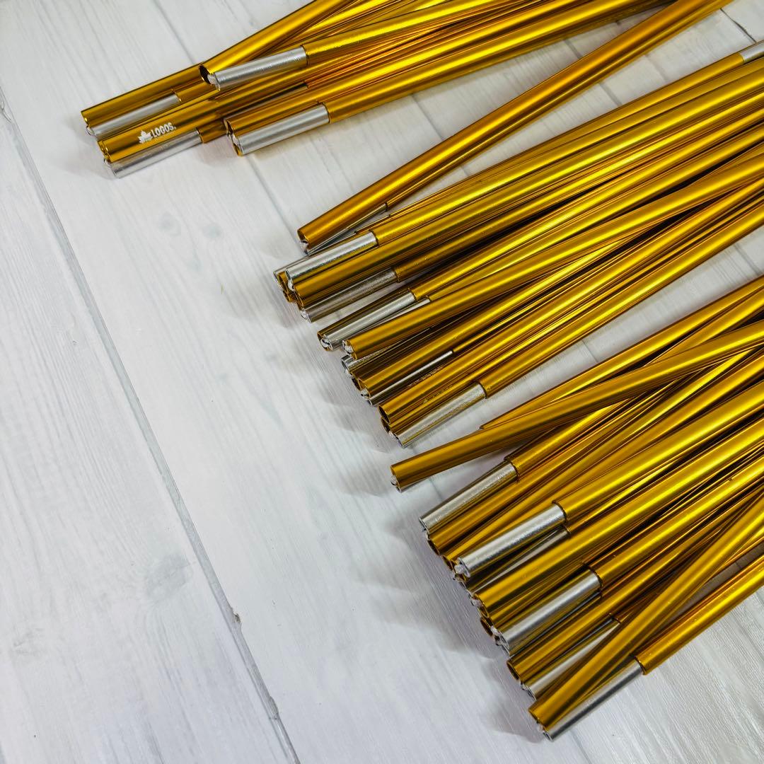 【ほぼ未使用】LOGOS C-Tour プレミアムソロトレックドーム-Z 完備