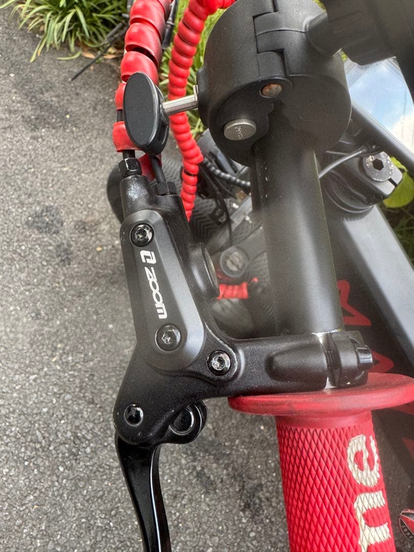 mango38　中古　MATE X250 電動アシスト自転車　カスタム