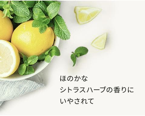 三省製薬 デルメッド まとめ売り