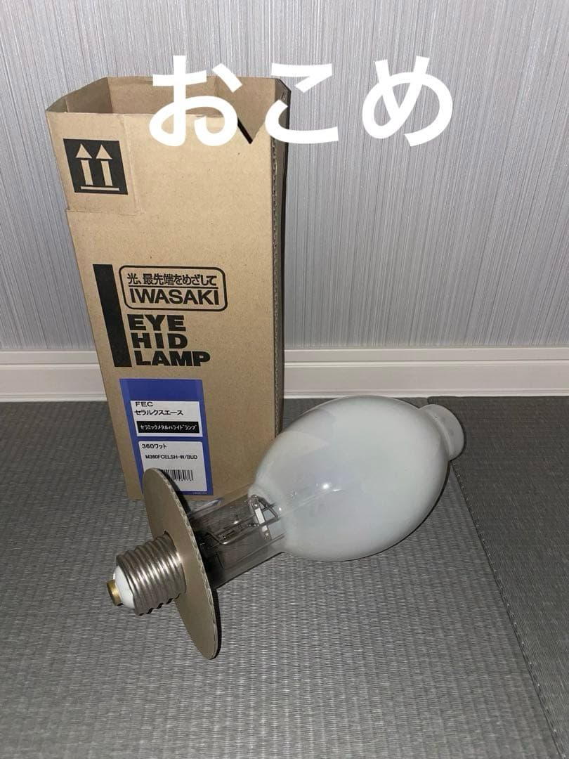 IWASAKI FEC セラミックメタルハライドランプ360W