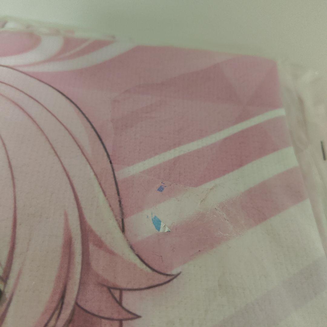 ブルーアーカイブ 小鳥遊ホシノ まとめ (注意点有)