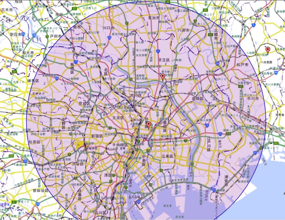 BRIDGESTONE bikke mod dd 電動アシスト自転車