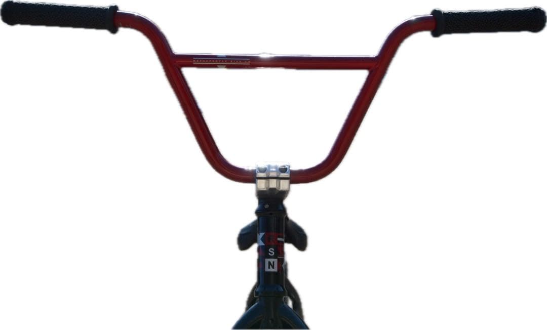 自転車本体 WETHEPEPLE Reason BMX