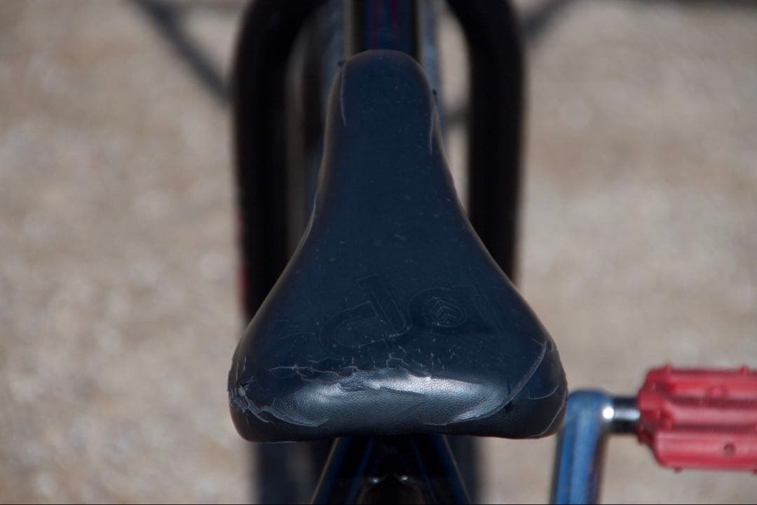 自転車本体 WETHEPEPLE Reason BMX