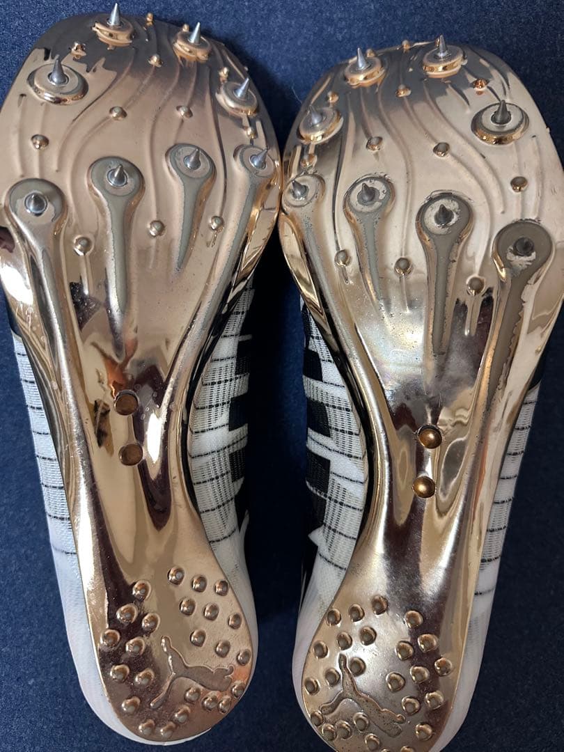 Puma エヴォスピードスプリントニトロ2 2 28cm 限定カラー