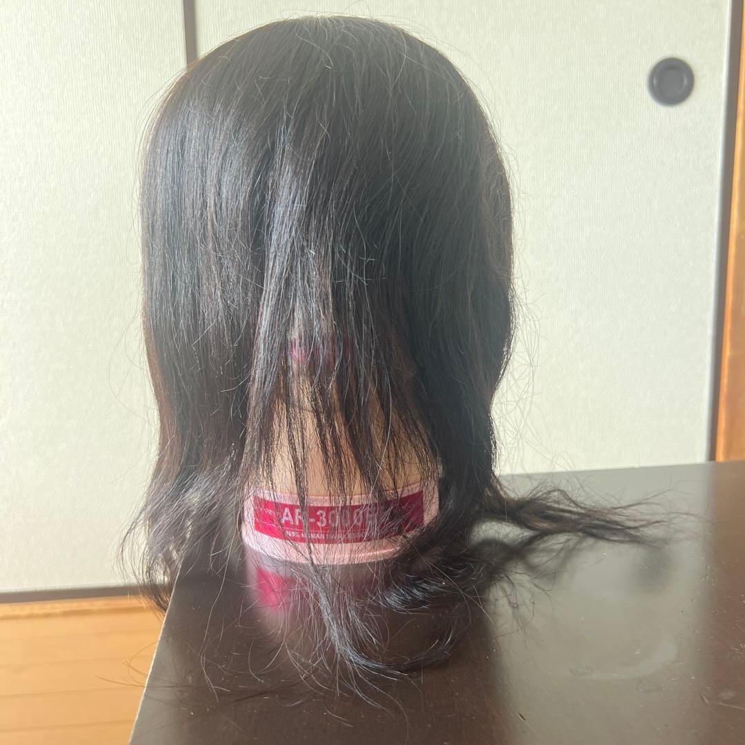 カットウィッグ レデイース 練習用