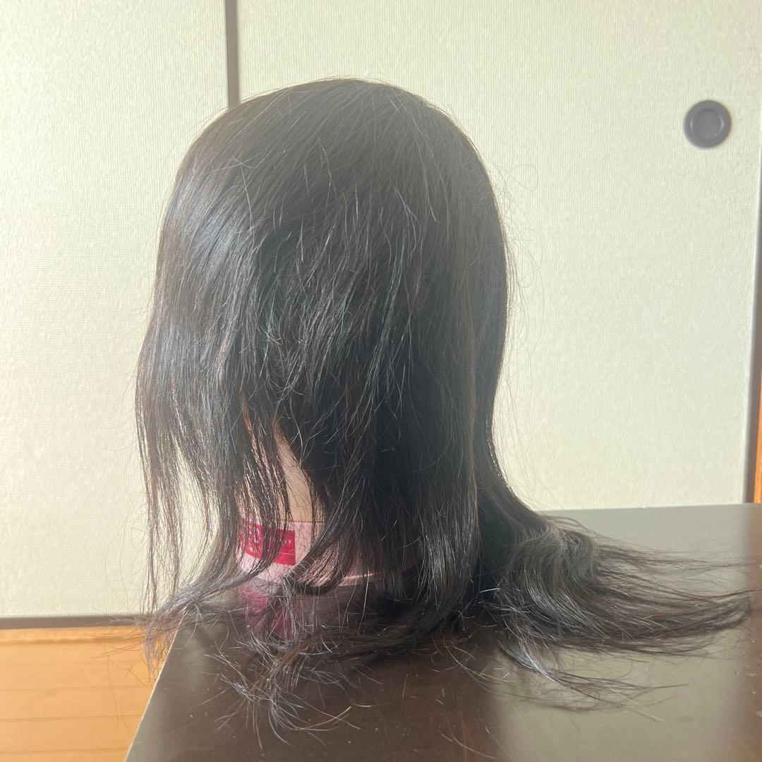 カットウィッグ レデイース 練習用