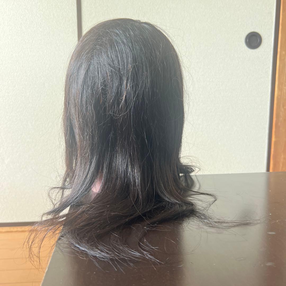 カットウィッグ レデイース 練習用