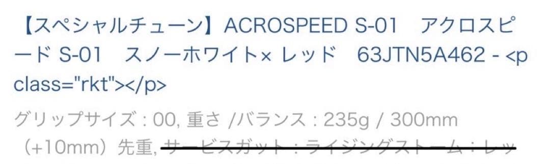 【美品】アクロスピード S01 ラケットケース付き