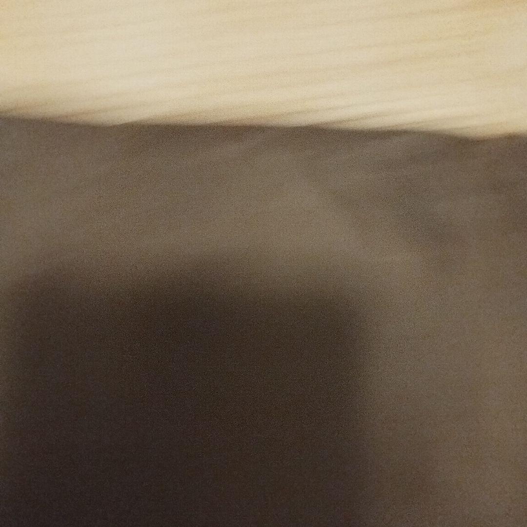  peak シールドルーフ TP-770SR スノーピーク トルテュ用