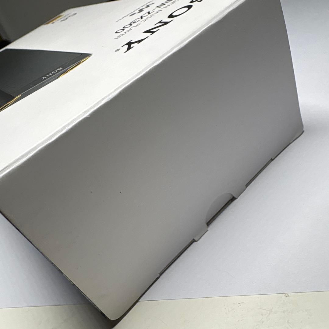 Sony WALKMAN ウォークマンNW-ZX300 64GB