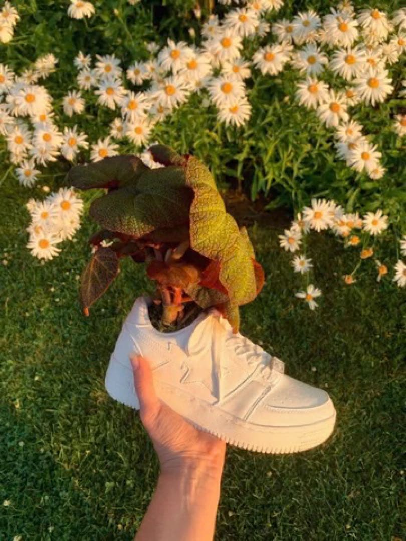 激レア Bape x Bodega Rose Bapesta プランター 未使用 - メルカリ