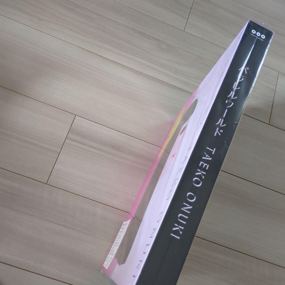 大貫妙子 パラレルワールド レコード BOXセット