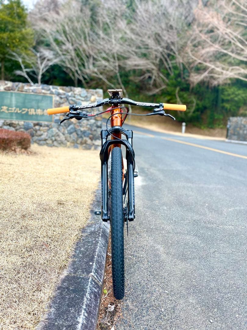 カーボンフレーム 12速 MTB