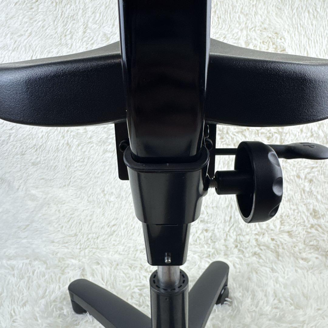 ayur chair アーユルチェア　オクトパス　キャスタータイプ