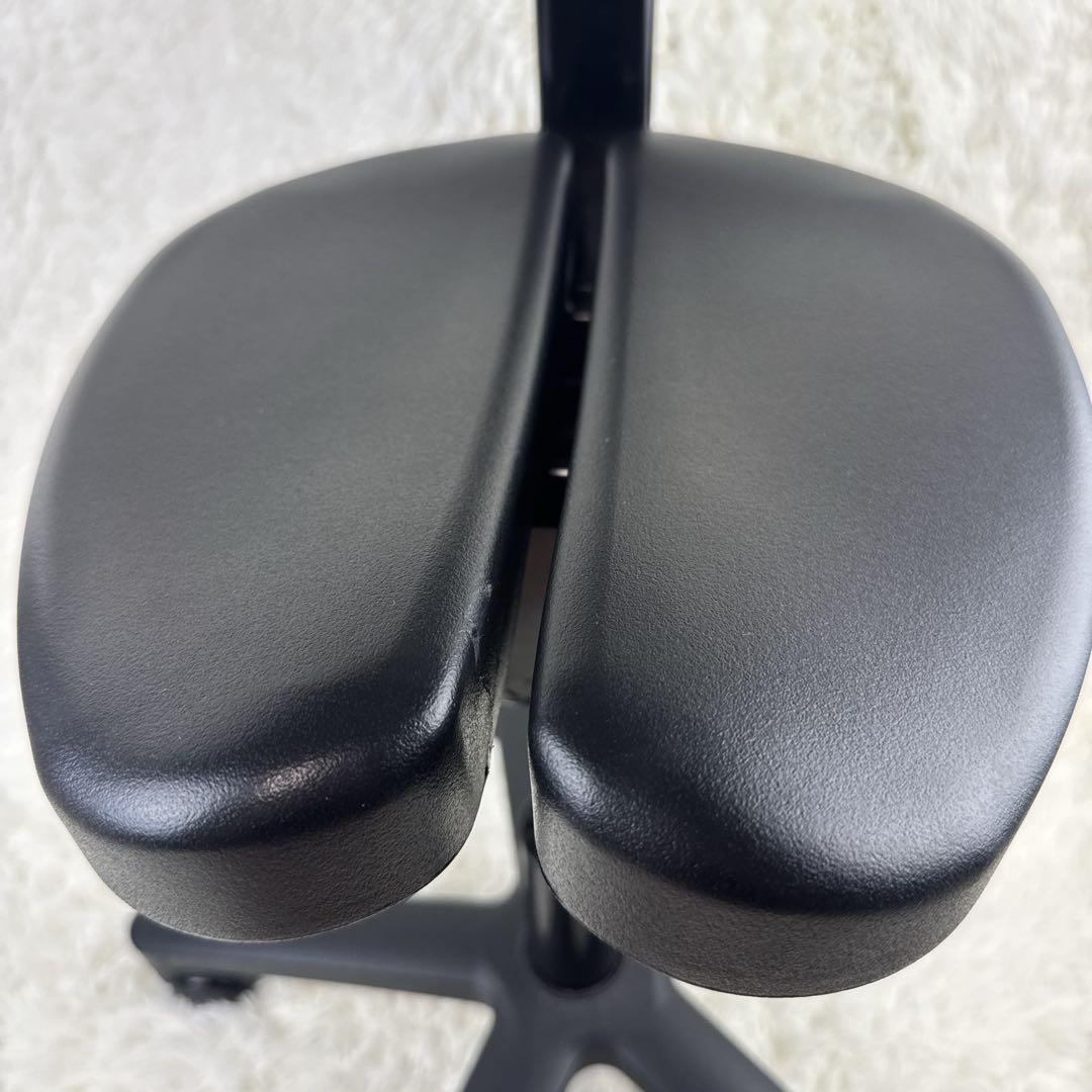 ayur chair アーユルチェア　オクトパス　キャスタータイプ