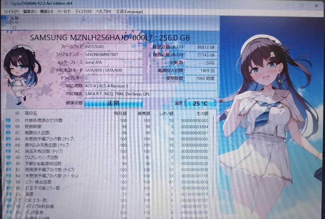 ★ThinkPad L390 i5/8GB/256GB/win11/office