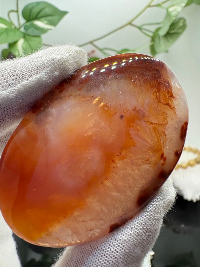 カーネリアン♡水晶共生パームNo.564美!!