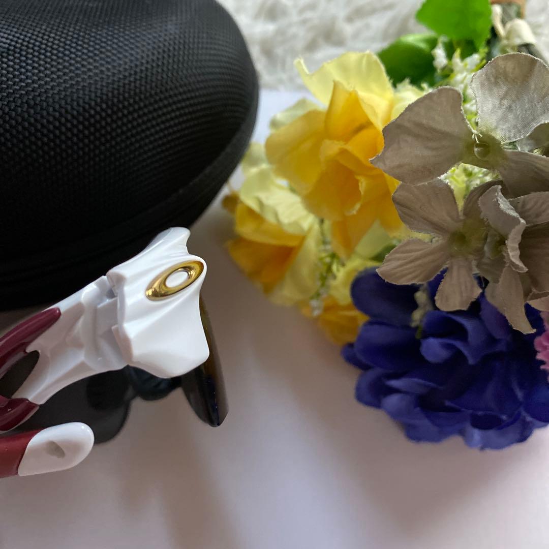 Danオークリー　OAKLEY　Raderlock《楽天イーグルス》