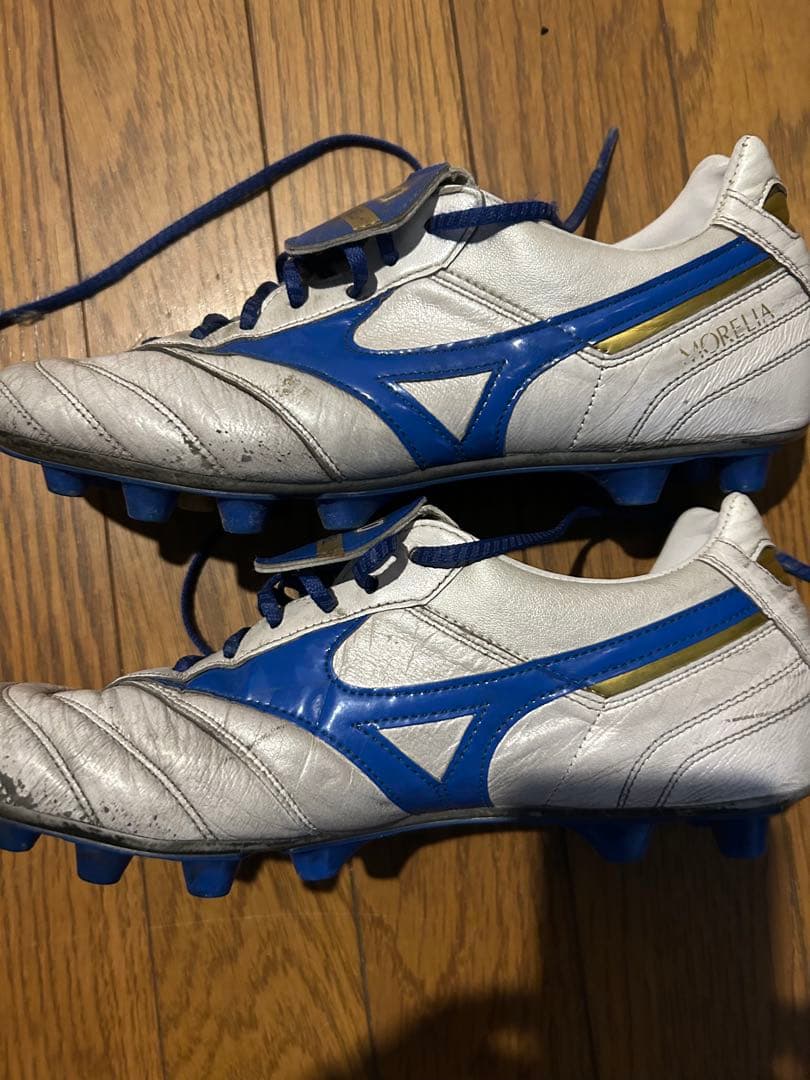 ミズノモレリア2Japan 限定モデル