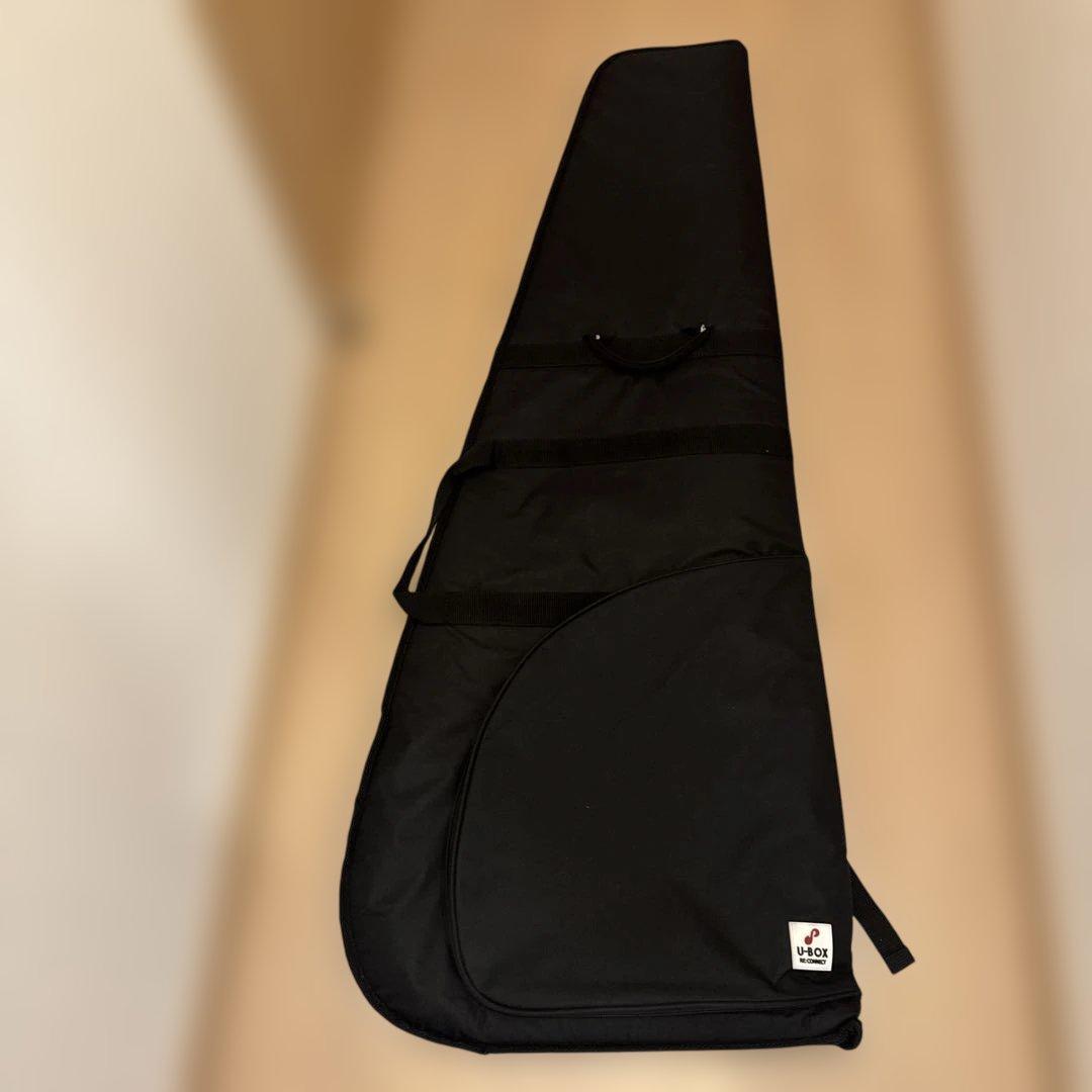 6弦ベース　Made in Japan ARIA PRO II