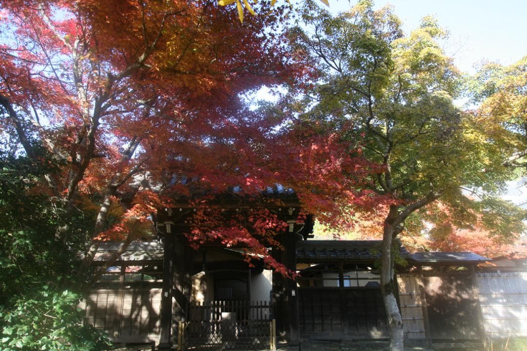 【訳あり】Canon EF 20-35mm F2.8 L ズームレンズ