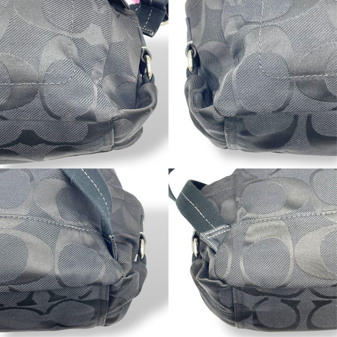 バッグ Coach Poppy Signature Backpack