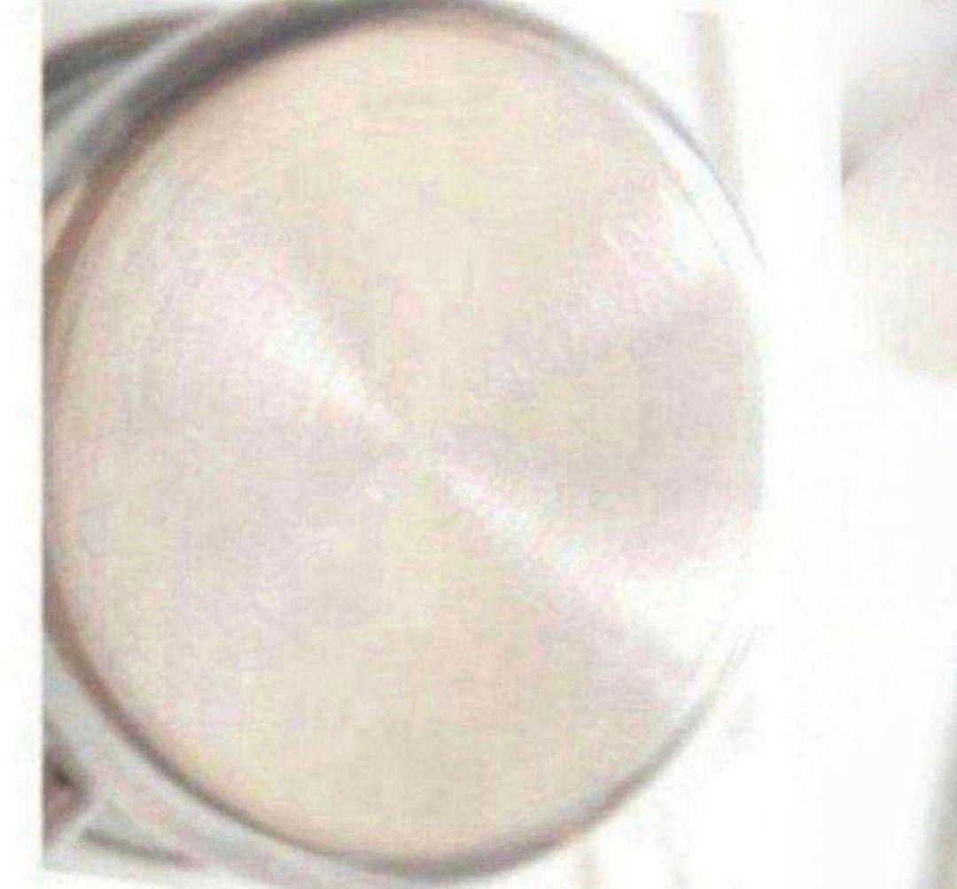 Amway 使用10回未満 アムウェイ 大ソースパン インダクションレンジ対応@