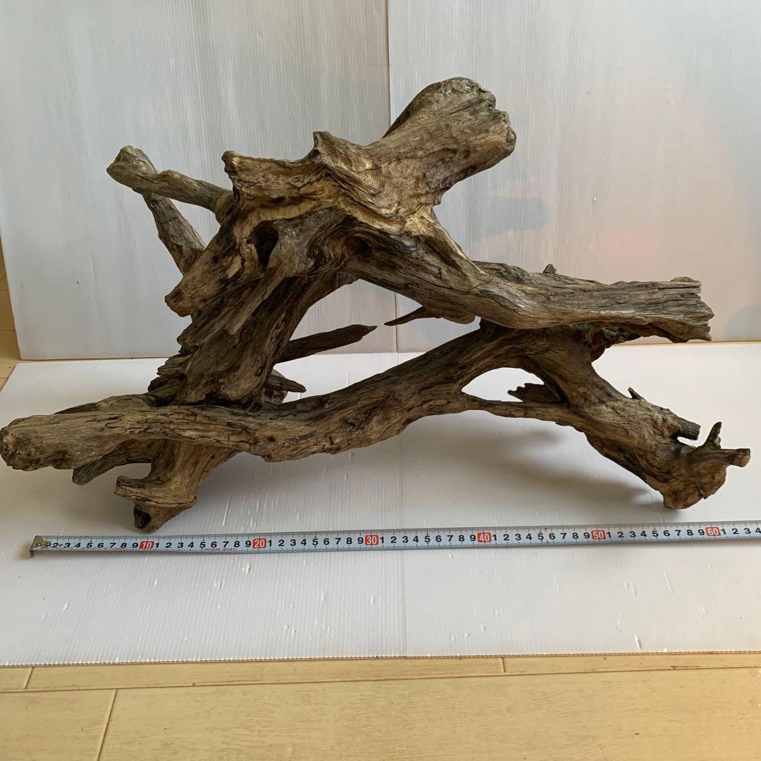 銀*時様 アク抜き済み流木　No.10 超レア型　沈水確認済