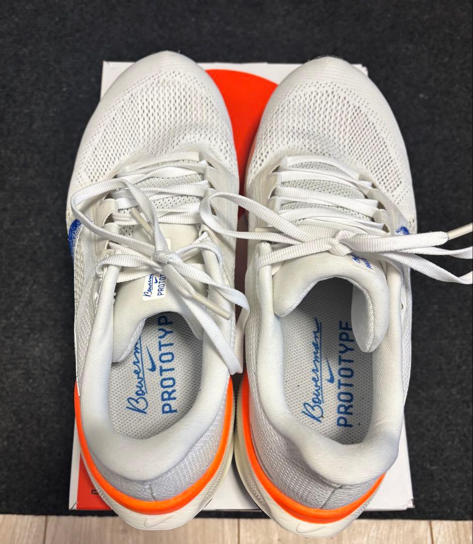 Nike ペガサス 41 ブループリント 極美品【28.0cm】Pegasus