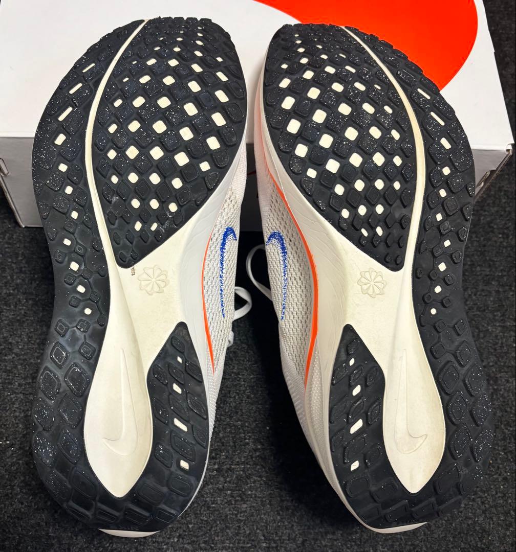 Nike ペガサス 41 ブループリント 極美品【28.0cm】Pegasus