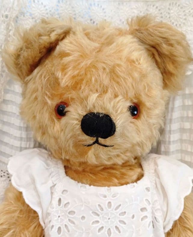 チャドバレーベア 47cm