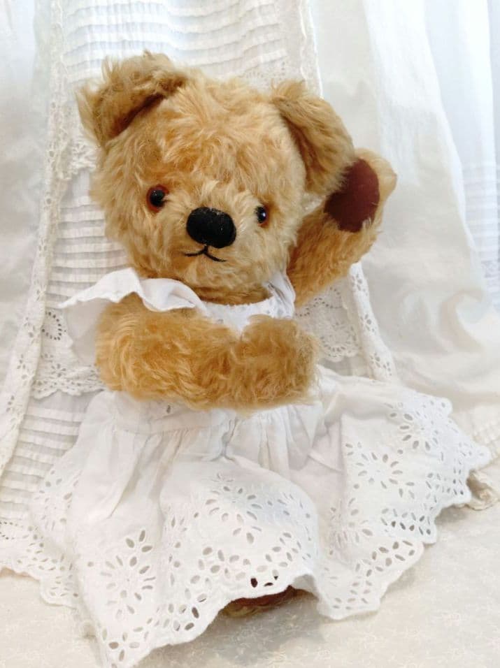 チャドバレーベア 47cm