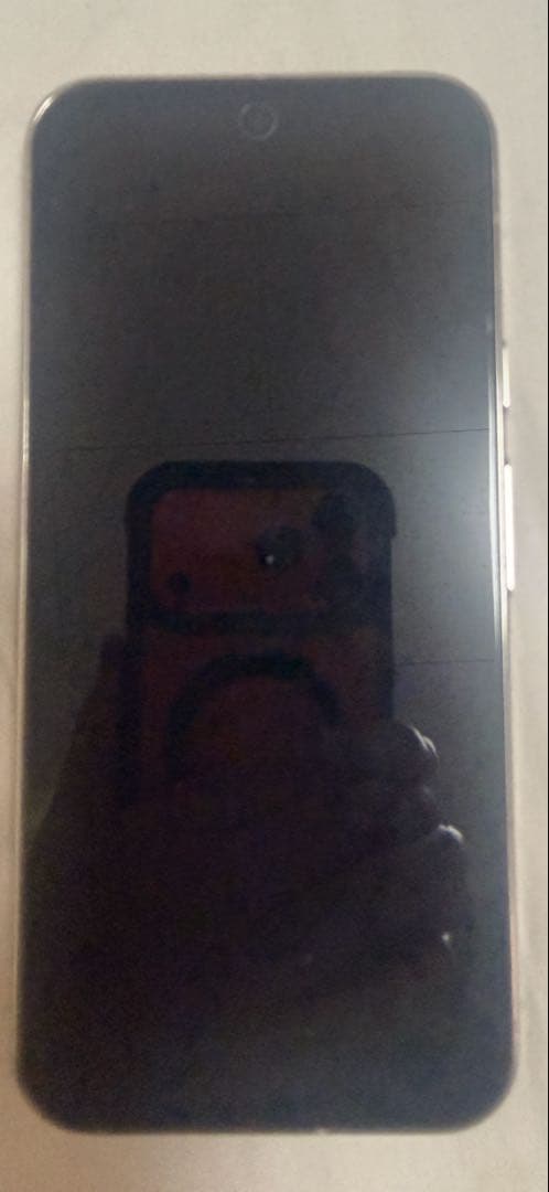 Google Pixel 9 Pro XL 256GシルバーSIMフリー 本体