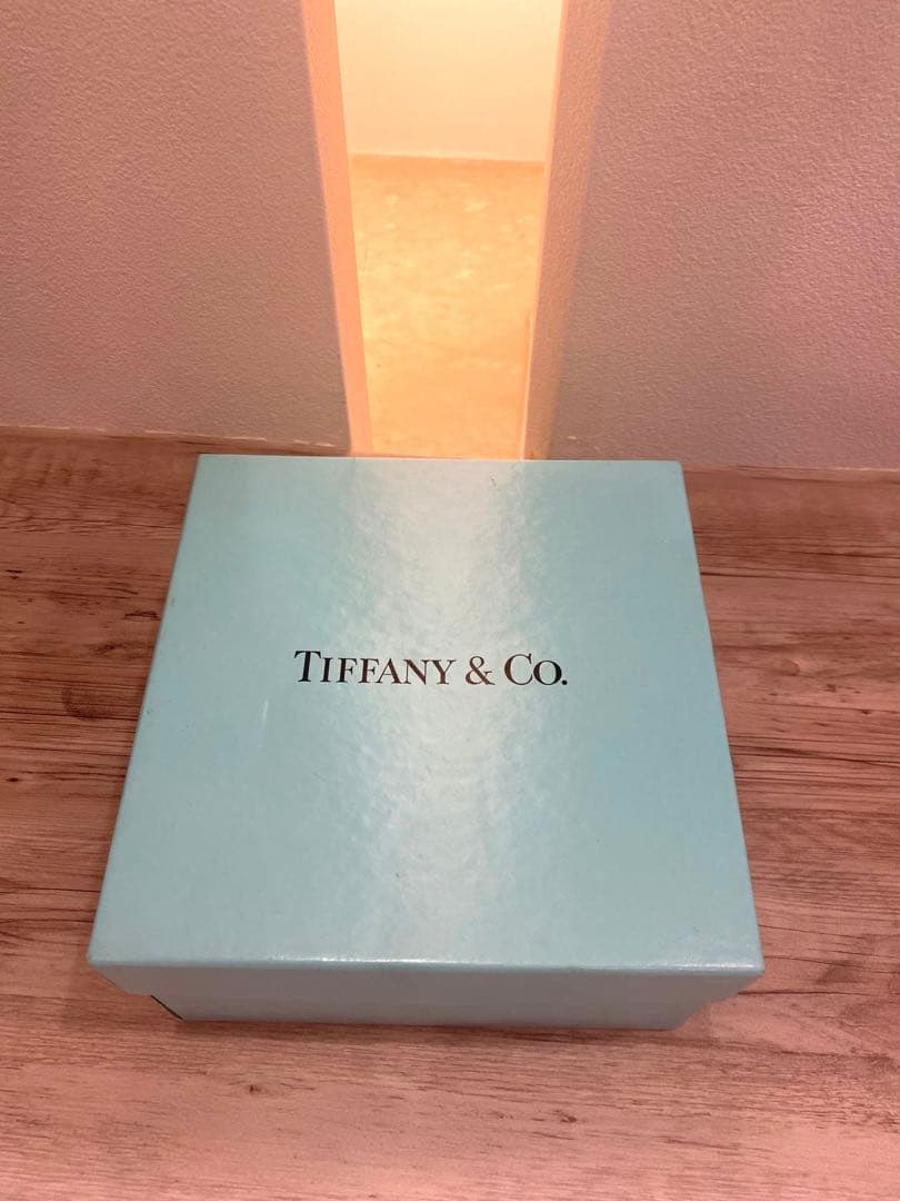 希少レア品】Tiffany x Boeing ボンボニエール 小物入れ - メルカリ