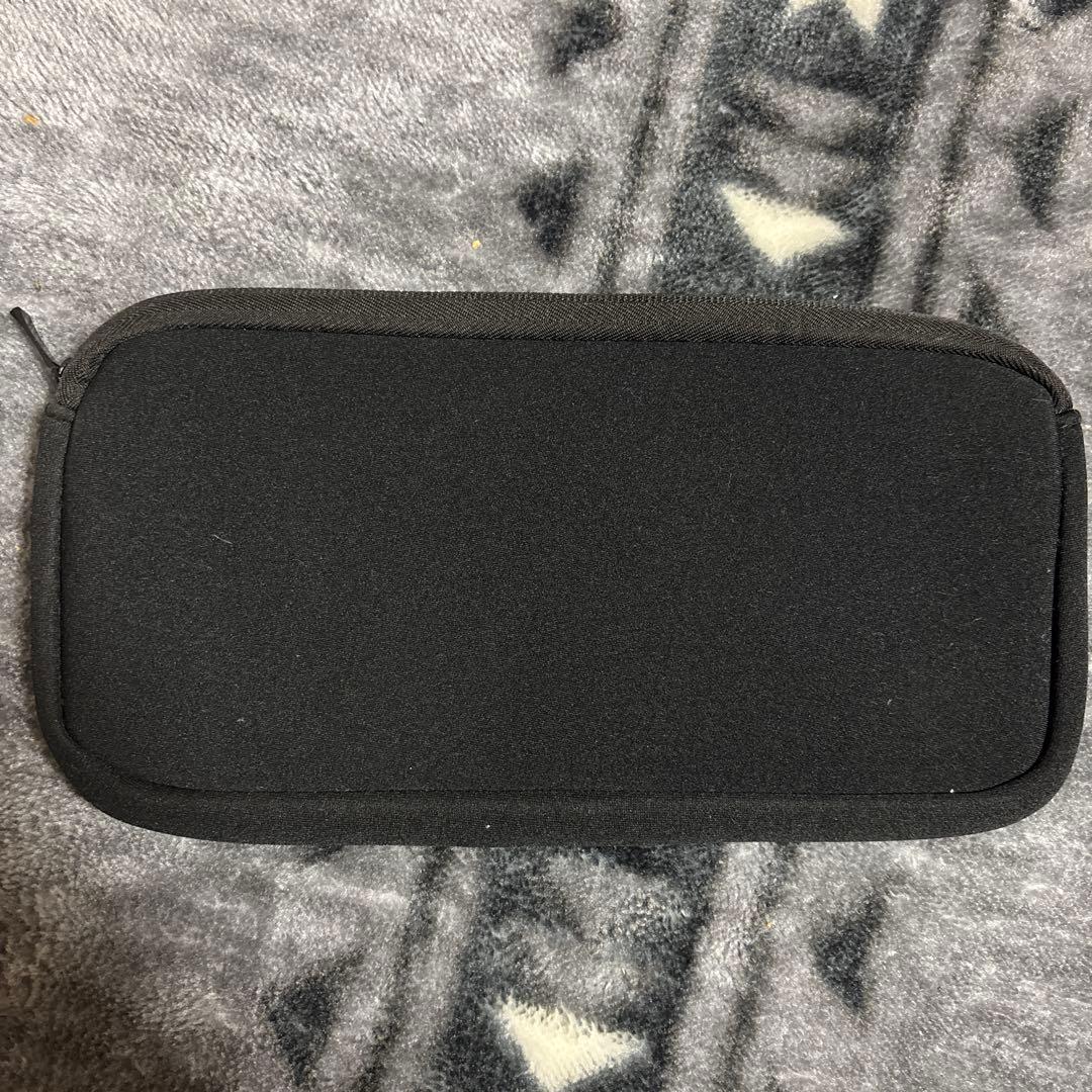 Switchライト箱充電器付き ケース付き