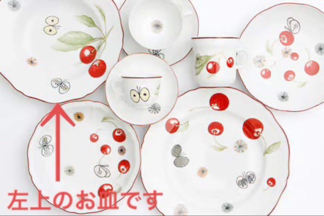 希少！数量限定品【未使用】リチャードジノリ×ミナペルホネン コラボ