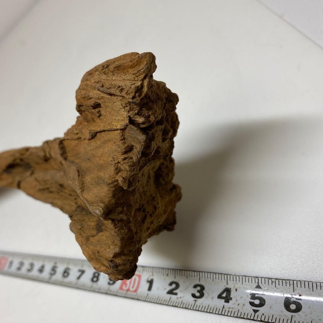 香木　佐曽羅　180g 東Y7-0123①