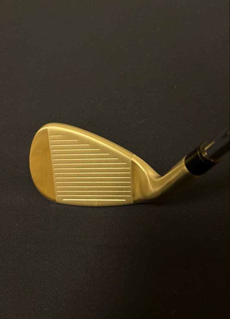 テーラーメイド　ステルスHD アイアン