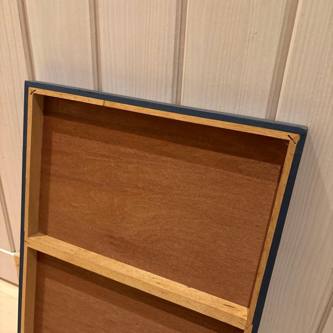 貴乃花土俵入り