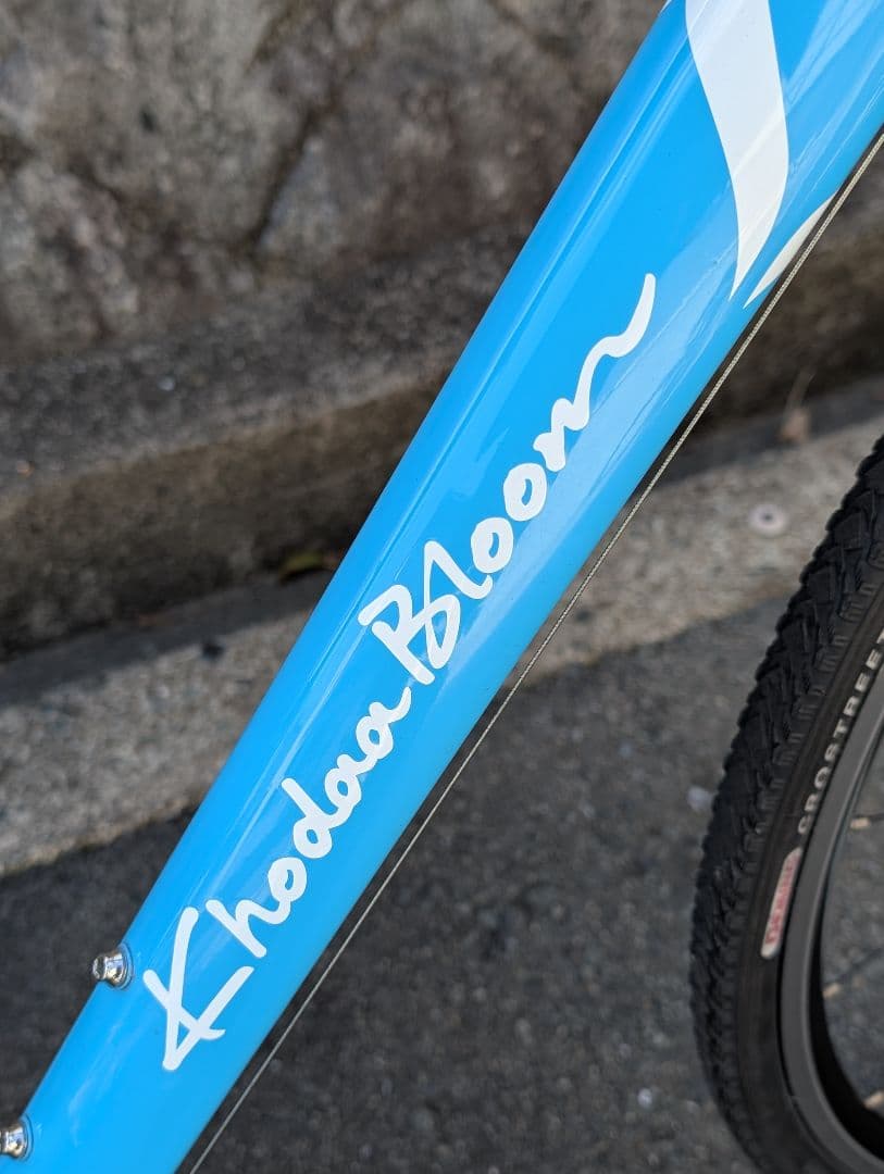 【もっと評価されるべきクロスバイク】コーダーブルームRAIL 440サイズ