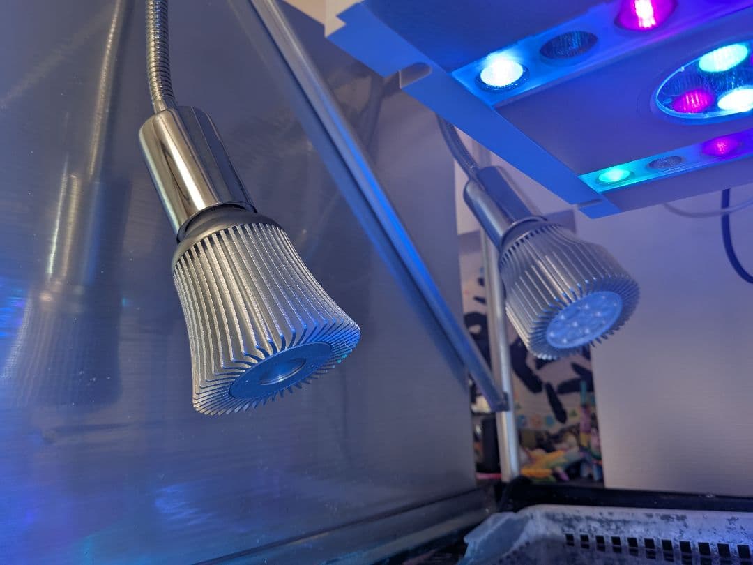 バイタルウェーブ　VitalWave II