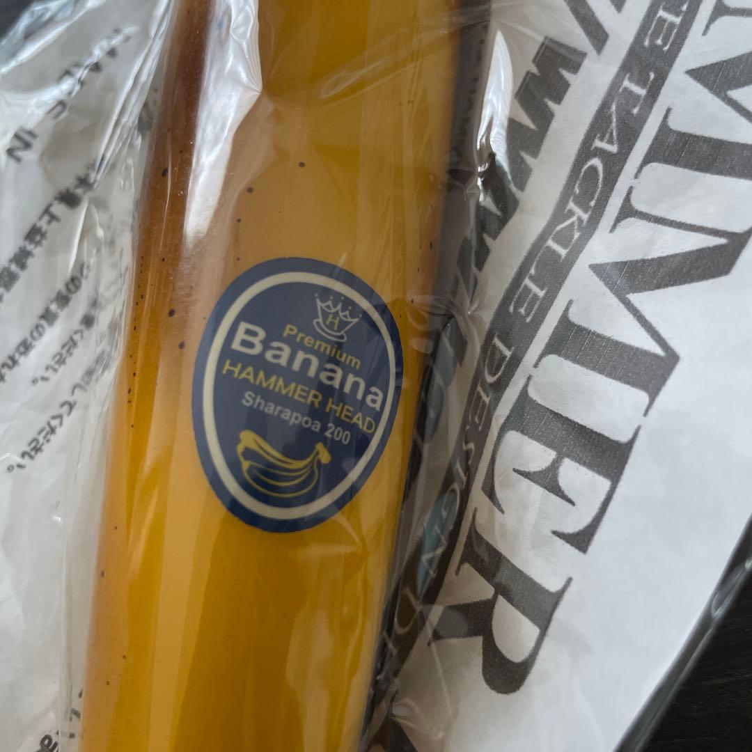 シャラポア200 バナナ ハンマーヘッド H302