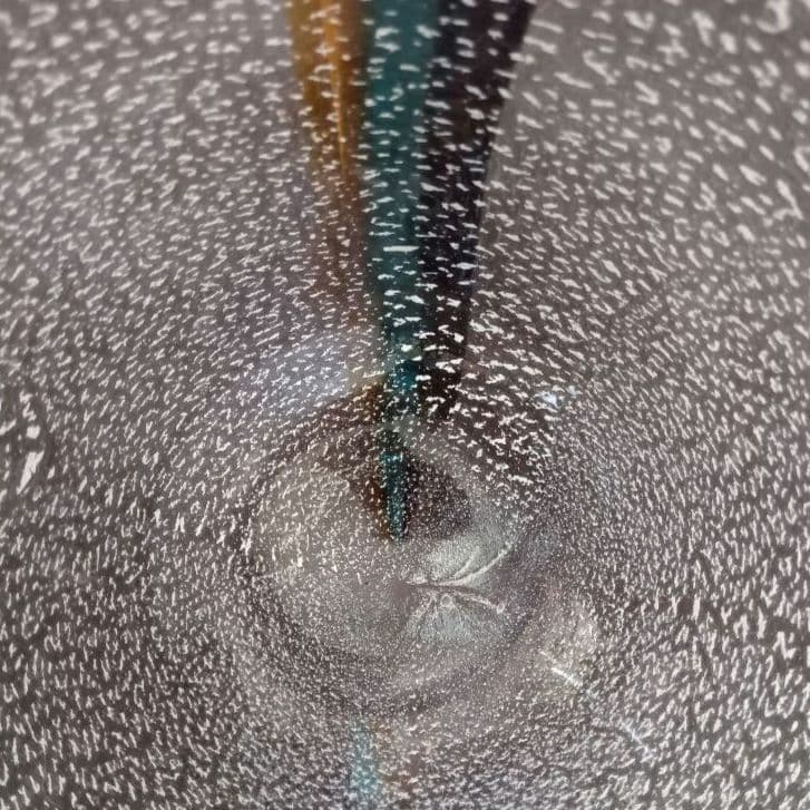 最終価格 ムラーノ ザネッティ MURANO Zanetti 花瓶/置物の通販はau