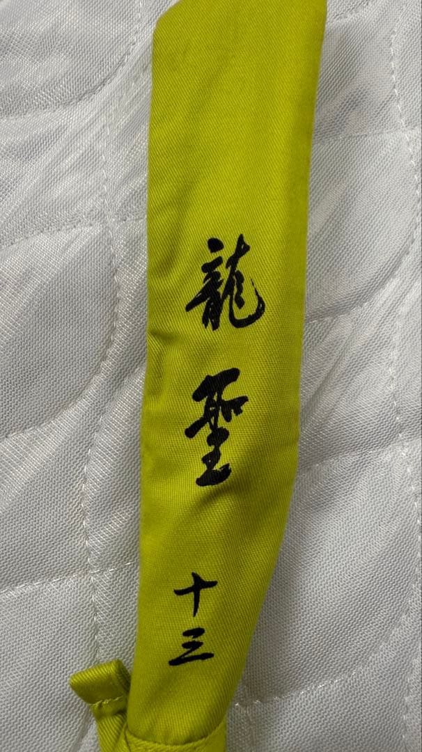 ヘラブナ竿 龍聖　十三 ＋おまけ付き