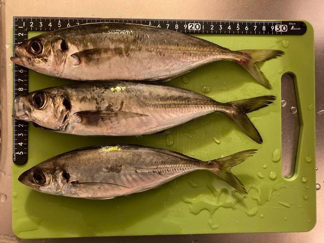 2026 1/1価格改定　ジグヘッド作成用 タングステンビーズ オーダーページ