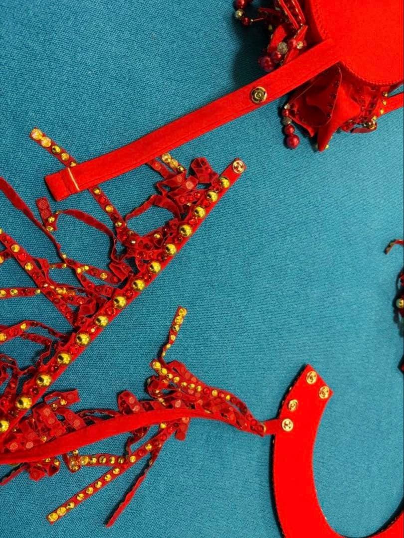 ♡期間限定♡ ベリーダンス be sparkly 衣装 赤 3D 花 